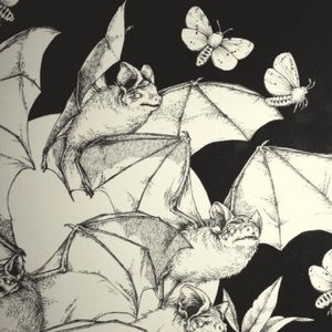 Meet your Posher, Kemir